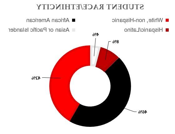 mft24student-race-ethnicity.jpg